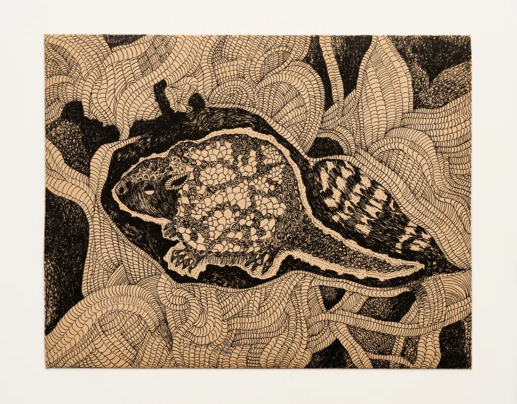 Mostra inédita reúne série Animais de Wanda Pimentel