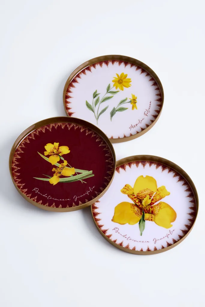 Le Lis Casa apresenta nova linha inspirada nas flores do Cerrado